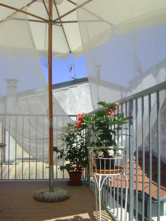 Hotel La Petite Maison Viareggio Bagian luar foto